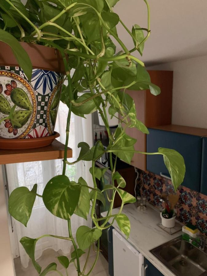 Apartament La Giara Palermo Zewnętrze zdjęcie